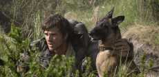 The Dog Stars