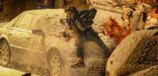 Resident Evil