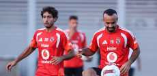 محمد هاني
