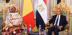 لقاء وزير الخارجية مع وزيرة ريادة الأعمال والتوظيف والتدريب الفني بجمهورية مالي