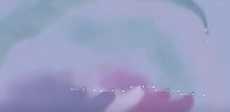 علما مصر والمملكة يتعانقان في سماء العلمين