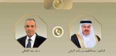وزيرا خارجية مصر والبحرين