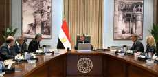 رئيس الوزراء يلتقي الرئيس التنفيذي لشركة «أكور» الفرنسية