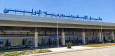 مطار الأسكندرية الدولى