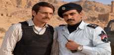هشام عاشور