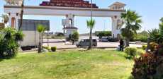زيادة معدلات التشجير بالنوبارية