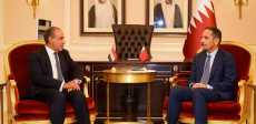 وزيرا خارجية مصر وقطر