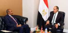 وزيرا خارجية مصر وإريتريا