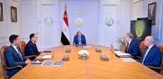 الرئيس السيسي خلال اللقاء