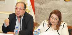 الكاتب هاني لبيب