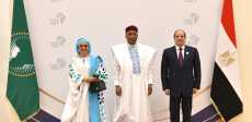 قمة العلمين أفريقيا