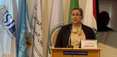 المستشارة أمل عمار