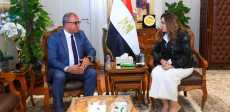 التنمية المحلية