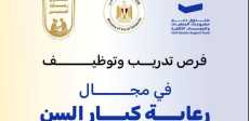 التضامن