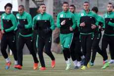 بعثة النادى المصرى تغادر لزامبيا للقاء جرين بافلوز 