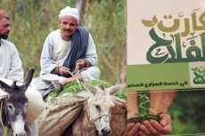 «كارت الفلاح» الذكى بالدقهلية يدخل مرحلته الثالثة