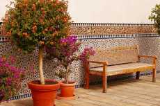 باحثون يطورون خاصية ثورية للنباتات