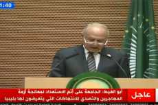 أبو الغيط فى «القمة الإفريقية»: نجدد رفضنا لقرار ترامب حول القدس