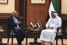 عبدالعال يبحث مع وزير الداخلية الإماراتى الوضع الأمنى لـ«باب المندب»
