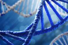 65 عاما على اكتشاف الـ«DNA».. حلاّل العُقد