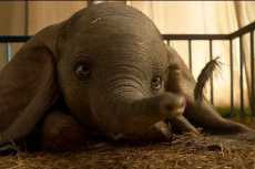 «Dumbo» يتصدر شباك التذاكر.. ويخيب آمال «ديزنى»