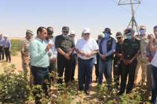 صور.. وزير قطاع الأعمال يتابع تجربة زراعة القطن قصير التيلة بشرق العوينات
