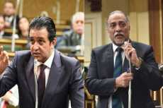 تضامن النواب: مصر دولة حقوقية ونجحت فيما فشل فيه العالم  