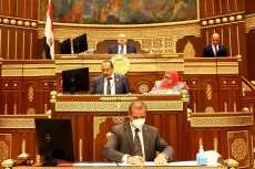 مجلس الشيوخ يوافق على إنشاء خط ساخن للإبلاغ عن مخاطر تهدد المسنين