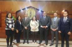 تنسيقية شباب الأحزاب والسياسيين تلتقى بلجنة شباب بيت العائلة المصرية