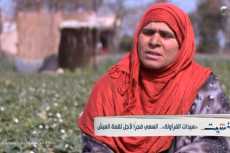 بـ100 راجل.. سيدات تعملن بالفراولة 12 ساعة يوميا (فيديو)