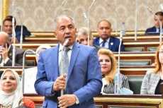 وكيل «الشيوخ»: حرص الرئيس السيسي على المشاركة في «بريكس» يحمل دلالات مهمة