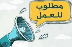 أخبار سارة للشباب.. العمل: 2594 فرصة عمل جديدة في 10 محافظات