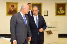 وزير الخارجية: اللاجئون يحصلون على الخدمات الأساسية بالتساوي مع المصريين
