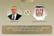 وزير الخارجية لنظيره الإماراتي: أمن واستقرار الخليج جزء لا يتجزأ من الأمن القومي العربي