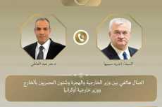 وزير الخارجية يؤكد على ضرورة إنهاء الأزمة الأوكرانية بالحلول الدبلوماسية