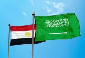 مصر والسعودية.. شراكة تعكس وحدة الهدف والمصير (فيديو)