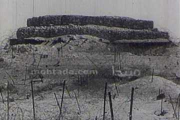 صور نادرة لتبة الشجرة وموقع كبريت 