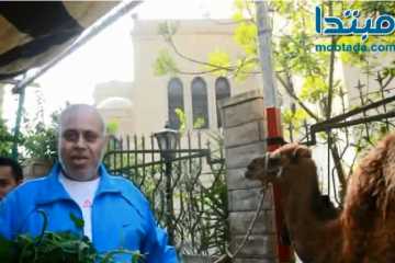رأى بعض المواطنين فى اسعار اللحوم قبل عيد الاضحى