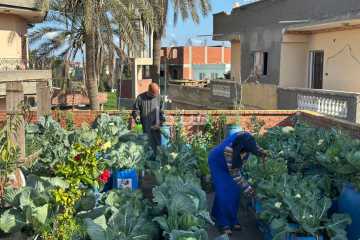 لم يمتلكا أرضًا زراعية.. زوجان من الريف حولا سطح منزلهما لحقل من الخضراوات