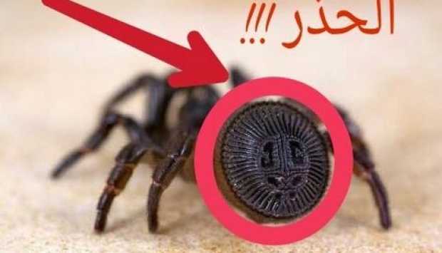 احذروا من العقرب القاتل الذي يسبب الموت في المقام الأول