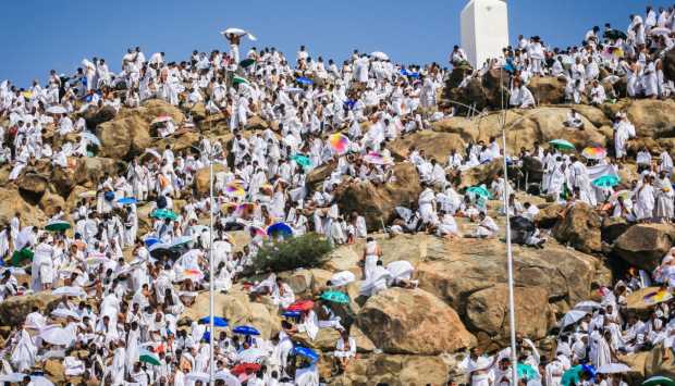 فتاوى الحج.. تعرف على أعمال الحاج يوم عرفة وأحكام الوقوف بعرفة 