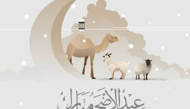 أيام البهجة.. كيف نستعد لاستقبال عيد الأضحى المبارك؟ (صور) 