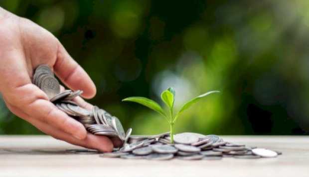 ما حكم إخراج الزكاة للأقارب؟.. الإفتاء توضح 