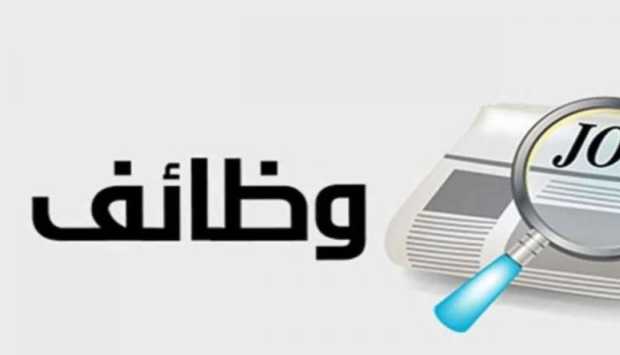 في 14 محافظة.. وظائف خالية داخل 77 شركة (إنفوجراف) 