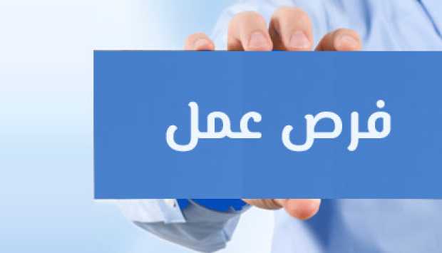 مديرية العمل بالإسماعيلية: فرص عمل للشباب على مهنة «عامل إنتاج» 