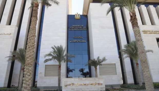 الزراعة في 2025.. طفرة غير مسبوقة تقودها الدولة نحو الأمن الغذائي 