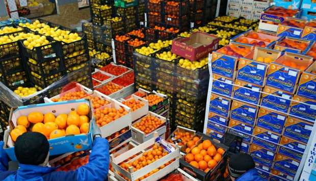 192 ألف طن صادرات غذائية مصرية في أسبوع واحد 