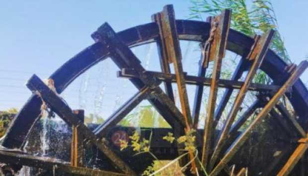 الساقية.. صورة نادرة لـ أداة ري الأراضي الزراعية في الريف المصري عام 1962 