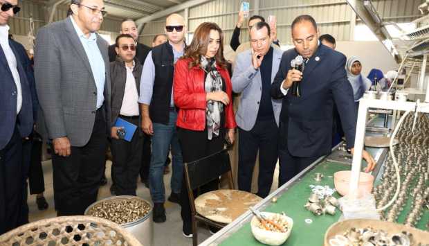 منال عوض: قنا نموذج واعد للتنمية الصناعية بالصعيد باستثمارات بلغت 1.7 مليار جنيه 