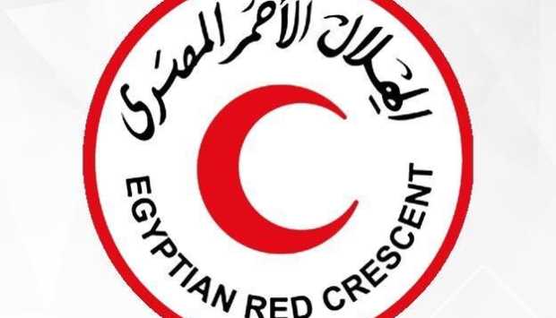 وزراء الشؤون الاجتماعية العرب يشيدون بجهود الهلال الأحمر المصري في تقديم المساعدات لفلسطين 